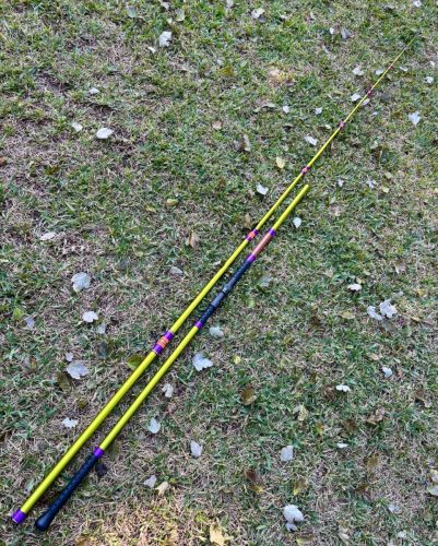 CTS SVUL1306-2 Fern 4