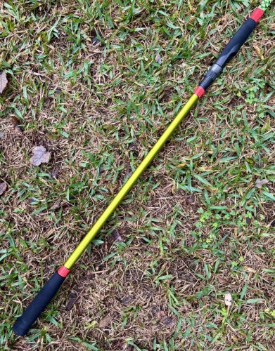 CTS VT1308-2 Fern